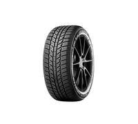 GOMME PNEUMATICI INVERNALI EVERGREEN 205/50 R16 87H EW62 WINTER