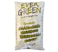 EVERGREEN 5KG CONCIME NPK CON MAGNESIO E FERRO - PRATI SPAZI VERDI E GIARDINI