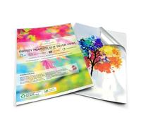 Evergreen Goods - 100 fogli di etichette adesive in vinile color argento lucido, formato A4, impermeabili, stampabili, autoadesive, compatibili con Cricut e Silhouette