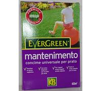 EVERGREEN MANTENIMENTO PLUS DA 2 KG concime per prati erbosi