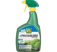 EVERGREEN - PYRALE DU BUIS Express UAB PAE 700ML - KPYR700