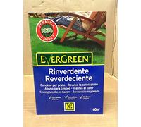 EVERGREEN RINVERDENTE KG.2
