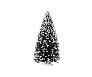 Evergreen Tree, Extra Large Cod. 94389