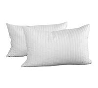 Evergreenweb - Coppia Cuscini 40x60 alti 12cm in Memory Foam da Letto o Arredo Divano Sofa Imbottitura 100% Fiocco Morbida effetto Piuma Indeformabile Traspirante Antiacaro 2 Guanciali Bianchi OFFERTA