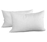 EVERGREENWEB Coppia Cuscini 40x70 alti 12cm in Memory Foam da Letto o Arredo Divano Sofa Imbottitura 100% Fiocco Morbida effetto Piuma Indeformabile Traspirante Anallergico 2 Guanciali OFFERTA PRIME