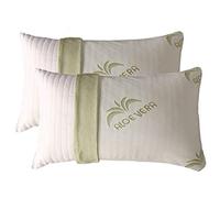 EVERGREENWEB Coppia Cuscini MEMORY FOAM con Fodera ALOE VERA 40x70 alti 15 cm Sfoderabili Imbottitura 100% Fiocco Schiuma a Memoria effetto piuma d'oca Antiacaro per Dolori CERVICALI, Guanciali Letto