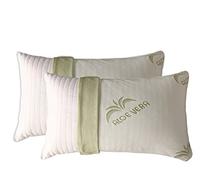 EVERGREENWEB - Coppia Cuscini Memory Foam con Fodera ALOE VERA 40x70 alti 15cm 2 Guanciali Letto per Dolori Cervicali tessuto Sfoderabile Imbottitura 100% Fiocco Anallergico ideali per tutti Materassi