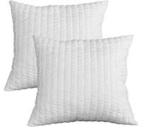 Evergreenweb - Cuscini Divano Moderno 40X40, Coppia Guanciali per Letto in Fiocc