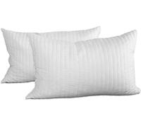 Evergreenweb - Cuscini Divano Moderno 40X60, Coppia Guanciali per Letto in Fiocc