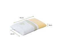 Evergreenweb Cuscino Lattice o Memory Foam Tessuto Aloe Vera Altezza 9-12-18 cm