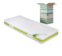 EVERGREENWEB - Fodera per Materasso una Piazza e Mezzo 120x200 alto 18-20 cm, Rivestimento Bianco Sfoderabile con Cerniera, Coprimaterasso con Imbottitura Anallergica Traspirante, Cover Lavabile JOLLY