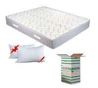 EVERGREENWEB - Materasso Matrimoniale 160x195 a Molle INSACCHETTATE Indipendenti e Waterfoam Alto 25 cm con Coppia Cuscini Memory GRATIS, Ortopedico Extra Comfort 7 Zone, Rivestimento Antiacaro SILVER