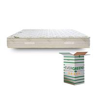 EvergreenWeb - Materasso Una Piazza e Mezza 120x190 a Molle INSACCHETTATE Indipendenti e Memory Foam Alto 23 cm Ortopedico Lastra 7 Zone Extra Comfort Rivestimento Tessuto Anallergico Silver Offerta
