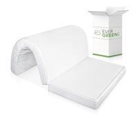 EVERGREENWEB - Materasso Una Piazza e Mezzo 120x190 Alto 10 cm per Divano Letto Prontoletto, Pieghevole in Poliuretano, Rivestimento Bianco Anallergico, Ortopedico, Laccetti di Fissaggio MOD Bed Sofa