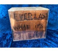 Everlast - What It'S Like