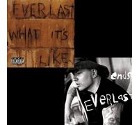 Everlast What It's Like/Ends (Vinyl LP) 7" Single