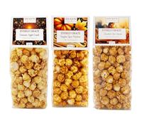 Everly Grace Popcorn Fall Bundle - Pumpkin Spice Perfection, Cinnamon Apple Crunch, Chocolate Chai Charme, ogni 100 g sacchetti di popcorn dalla nostra manifattura di Augusta, Germania