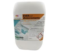EVEROUT - ACIDO DISINCROSTANTE PER PISCINE 10 LT