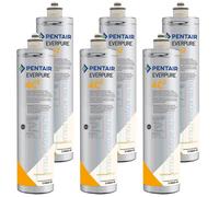 Everpure 4C2 EV9605-50: Protezione Antibatterica con Sali d'Argento Set 6 Pz