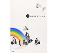 Every Little Thing - 2003 Tour Many Pieces