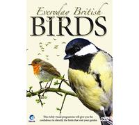 Everyday British Birds
