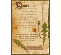 Everyday Magic: The Dandelion Grimoire of Wish & Wonder - A Botanical Wellness Notebook | Moon Phase Tracker | Daily Intention Journal | 7 x 10 Inch | 110 Pages | Parchment-Inspired Matte Cover