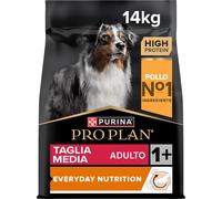 Everyday Nutrition Crocchette per Cani Adulti, Cibo Secco per Cani Di Taglia Med