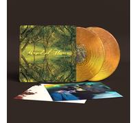 Everything All The Time(20th Anniversary Edition)