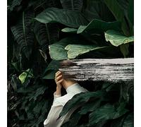 From Indian Lakes - Everything Feels Better Now