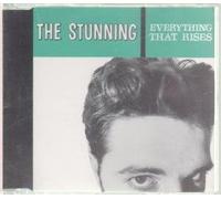 EVERYTHING THAT RISES CD IRISH SOLID 1992