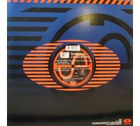 Everything we do..it's gonna be a party (3 versions, 1995) / Vinyl Maxi Single [Vinyl 12'']