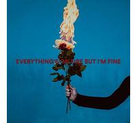 everything's on fire but i'm fine