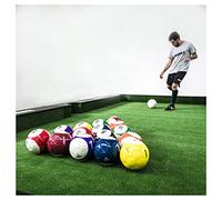 EviKoo 16 Pezzi Pallone da Calcio Snooker, Footpool Palla da Biliardo Calcio da Biliardo per Gioco da Biliardo Calcio per Snookball Gioco Palloni da Biliardo per Adulti Bambini All'aperto,5.9inch