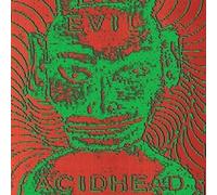 Evil Acidhead In the Name of All That Is Unholy (Vinyl LP)