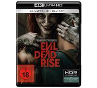 Evil Dead Rise (+ Blu-ray) (Blu-ray) Sutherland Alyssa Sullivan Lily Echols