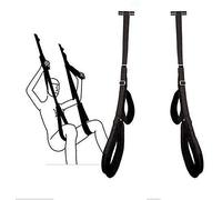 Evil s//Wings - I Fell Trapped in Her Web of Sin