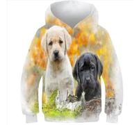 evimo Bambini Autunno Labrador Arte Felpa con Cappuccio Abbigliamento Ragazzi Ragazze Maglione con Cappuccio Felpe con Stampa 3D Maglie a Manica Lunga Pullover Unisex 11-13 Anni