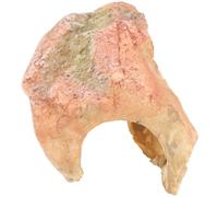 Evita Il Tavolo Da Sole Della Nascondiglio Dei Rettili Grotta