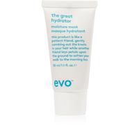EVO Hydrate The Great Hydrator maschera idratante per la brillantezza dei capelli secchi e fragili 30 ml