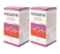 Evocolest Compresse 2x60 g Compresse