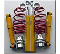 Ta technix Assetto a Ghiera Peugeot 106 + Citroen Saxo + Ammortizzatori a Gas Eu