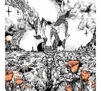 Evolfo Last of the Acid Cowboys (CD)