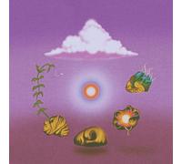 Evolfo Site Out Of Mind (CD)