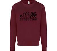 Evoluzione Del Giocatore Di Rugby Gallese Unione Maglione Divertente Per Bambini