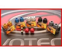 EVOTECH CONTRAPPESI BILANCIERI TRIUMPH SPEED TRIPLE 2005-10 COLORI VARI BARENDS