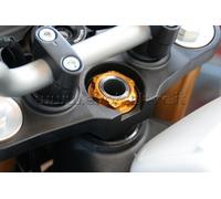 EVOTECH DADO CANOTTO STERZO M25X1 TOP YOKE NUT SILVER ARGENT