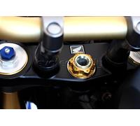 EVOTECH DADO CANOTTO STERZO M33X1 TOP YOKE NUT ORO GOLD