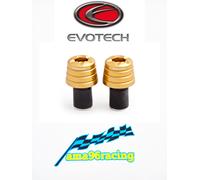 EVOTECH FS-U CONTRAPPESI MANUBRIO UNIVERSALI INSERTO AD ESPANSIONE ORO