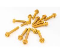 EVOTECH KIT VITI ERGAL MOTORE HONDA CBR 1000 RR 2005 TUTTI COLORI ENGINE BOLTS