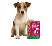 Evviva Pet Integratore per cani supporto salute intestinale (100g)